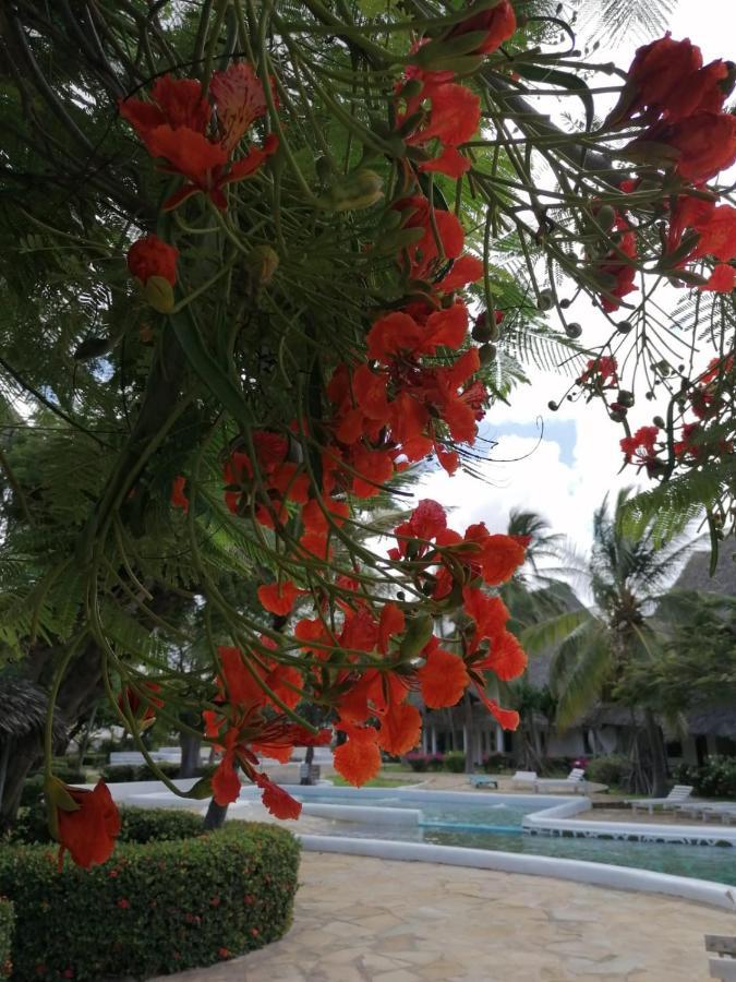 Coral Key Villa Malindi Ngoại thất bức ảnh